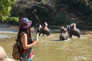 elephant tour thailand bangkok